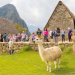 visiting machu picchu
