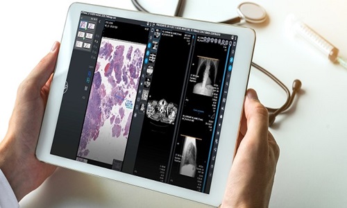 Healthcare Software Development Companies