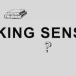 Making Sense