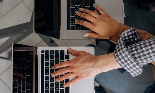 What service does the company offer https://www.thaloz.com/
