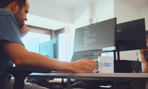 What services does the company provide https://www.digitalsense.ai/