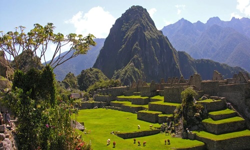 Best Tour Agencies to Visit Machu Picchu