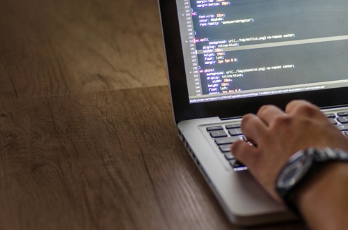 What services does the company offer digitalsense
