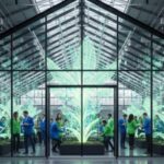 Cognitive Diversity: Hybrid Teams as Innovation Engines